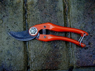 secateurs01.jpg