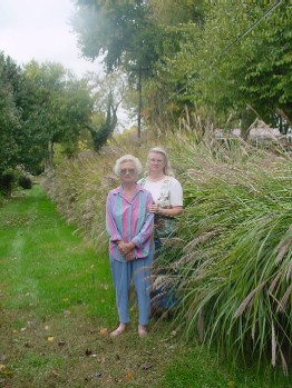 mom and grass