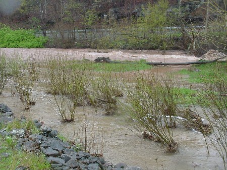 spring rains